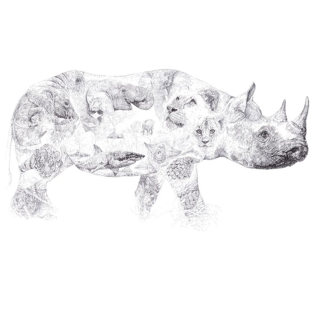 Rhino 2014 Biro drawing