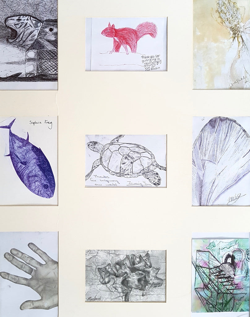 Royal Grammar School Newcastle collection of students Biro drawings of animals inspired by Artist Jane Lee McCracken
