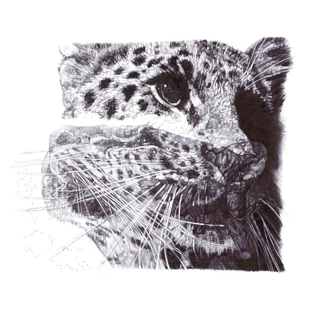 Our Loss Amur Leopard