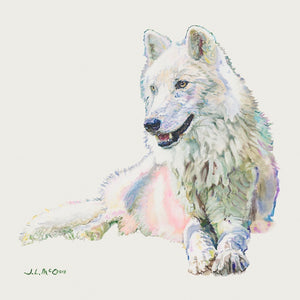 Atka Limited Edition Print