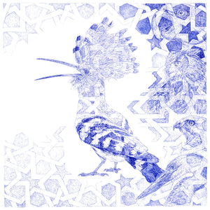 Dear Hoopoe Limited Edition Print