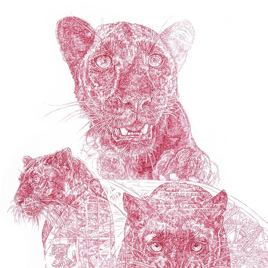 Panthers A3 Limited Edition Print
